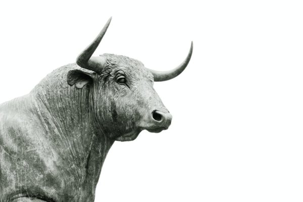 Image for Is Day Trading Halal or Haram?